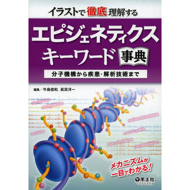 イラストで徹底理解するエピジェネティクスキーワード事典　分子機構から疾患・解析技術まで