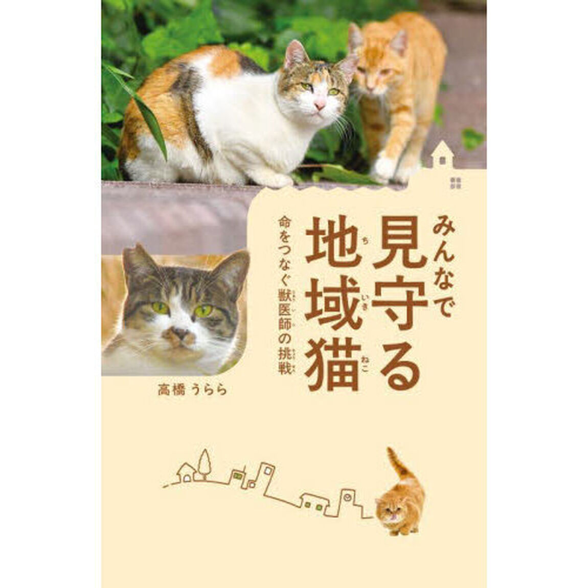 みんなで見守る地域猫　命をつなぐ獣医師の挑戦