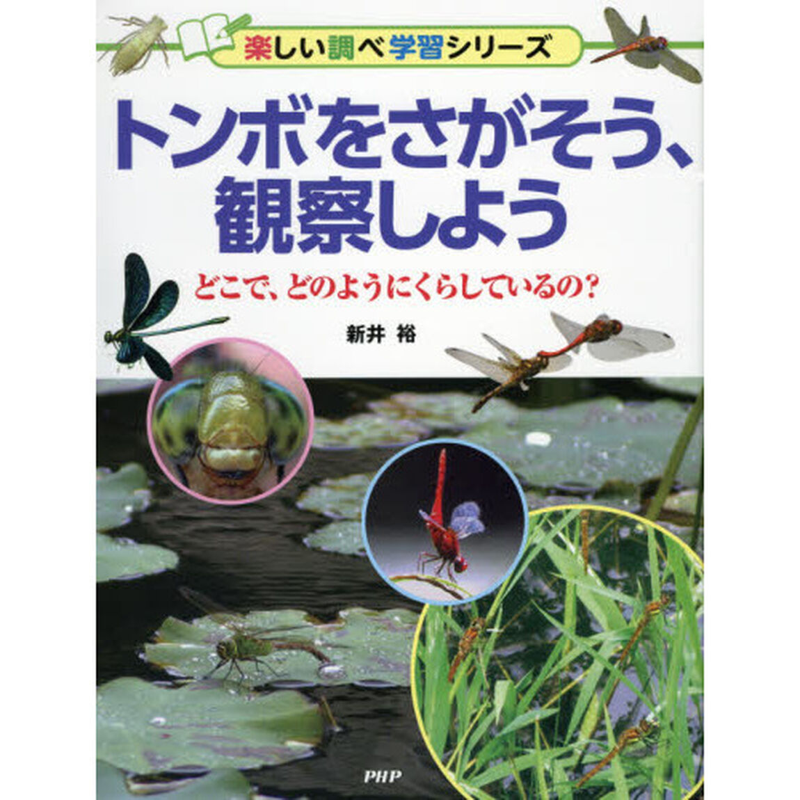 トンボをさがそう、観察しよう　どこで、どのようにくらしているの？