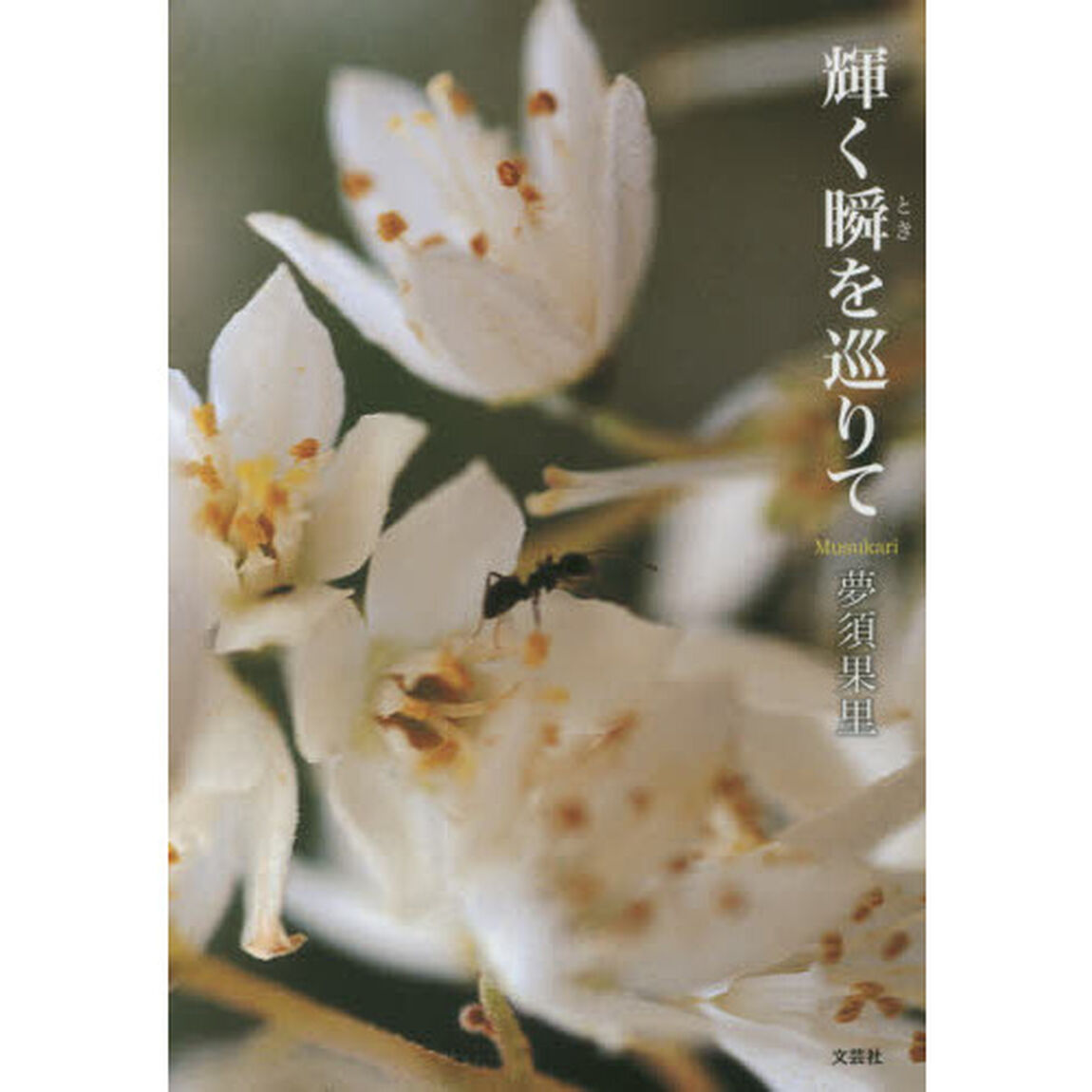 輝く瞬（とき）を巡りて