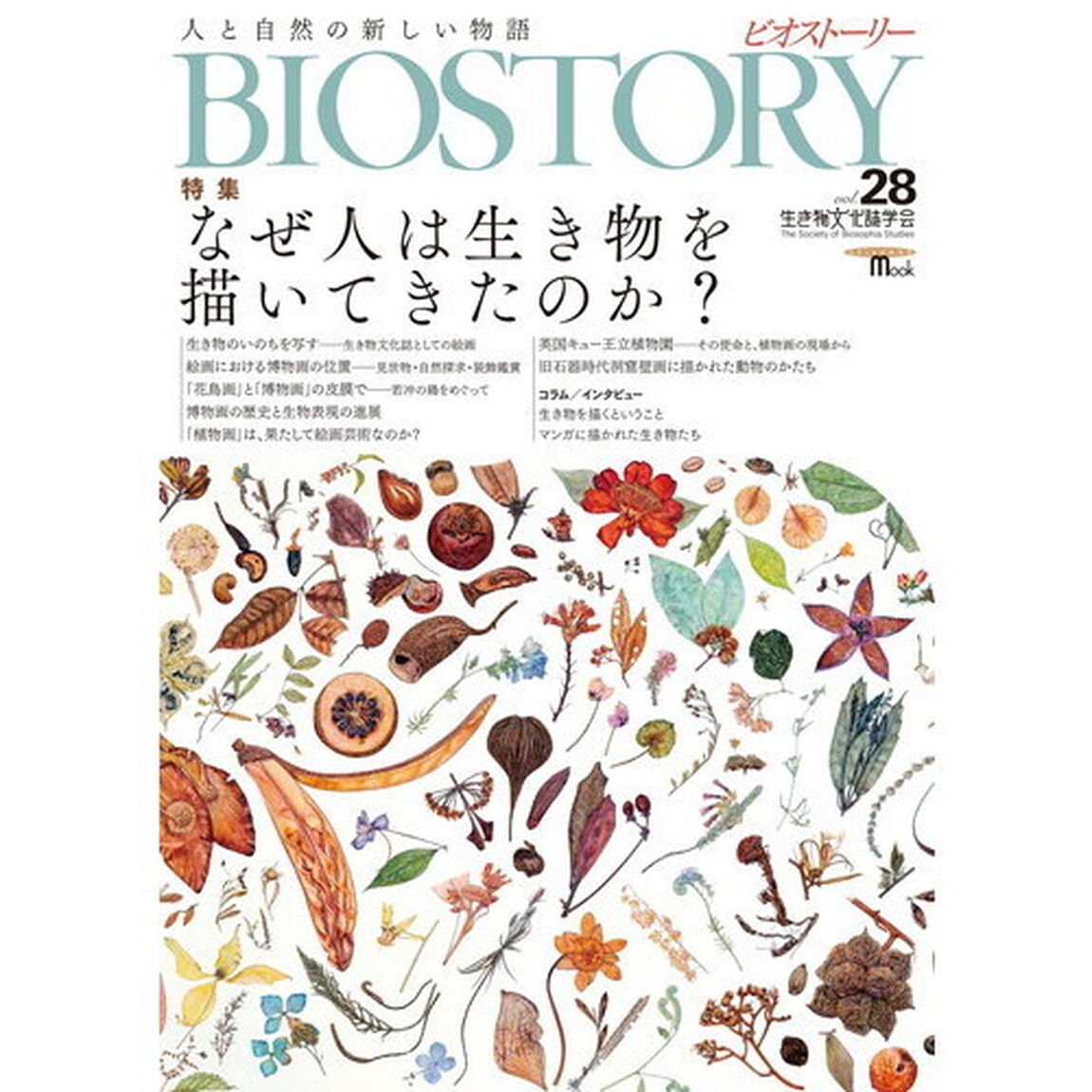 ＢＩＯＳＴＯＲＹ　　２８