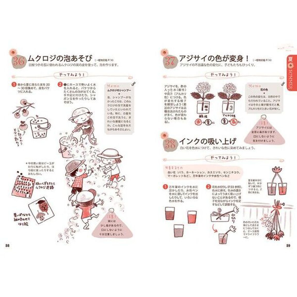 自然＊植物あそび一年中　五感を通して感じる・あそぶ　見て！さわって！「増補改訂版」