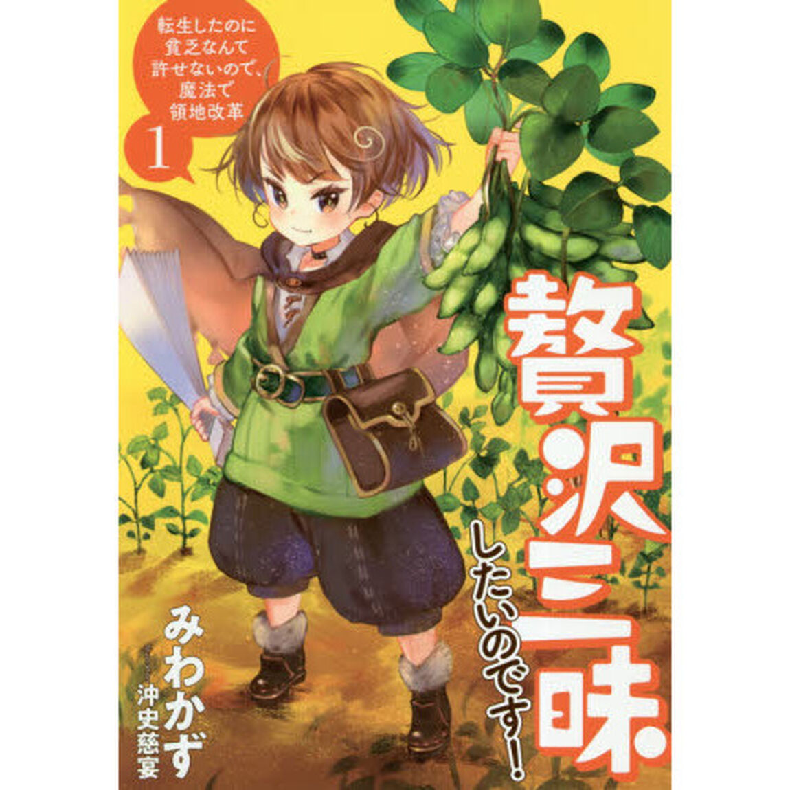 贅沢三昧したいのです！　転生したのに貧乏なんて許せないので、魔法で領地改革　１