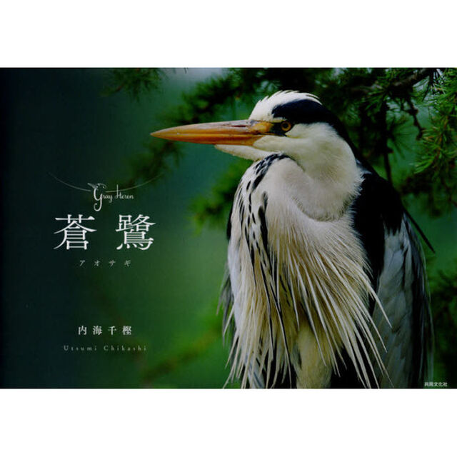 写真集　蒼鷺