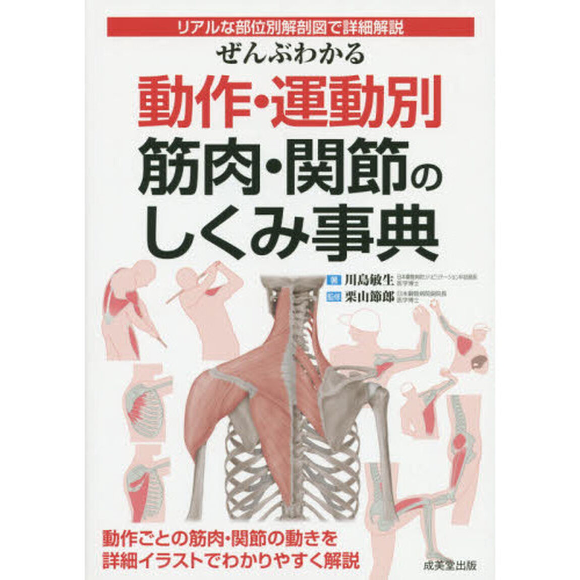ぜんぶわかる動作・運動別筋肉・関節のしくみ事典　リアルな部位別解剖図で詳細解説