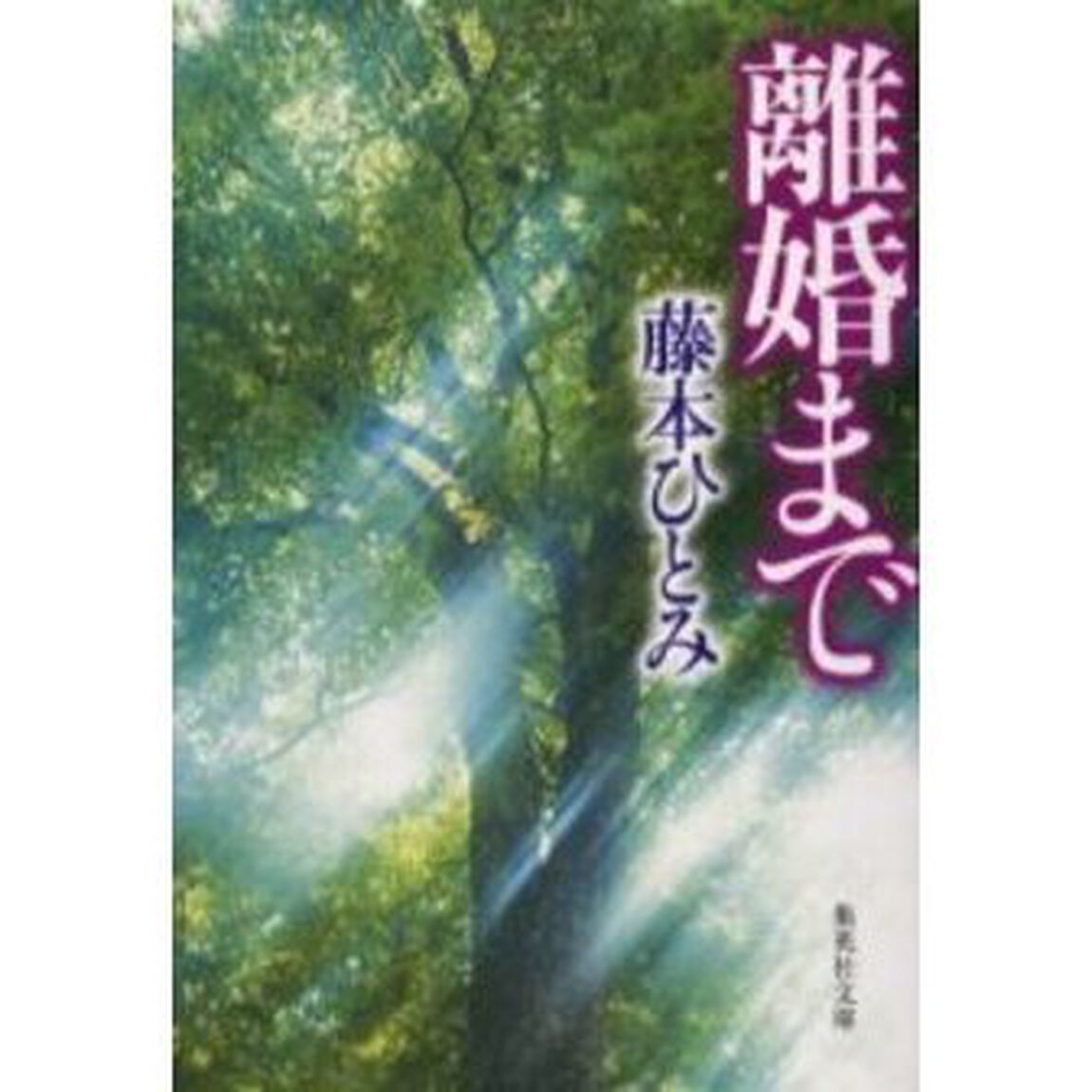 離婚まで