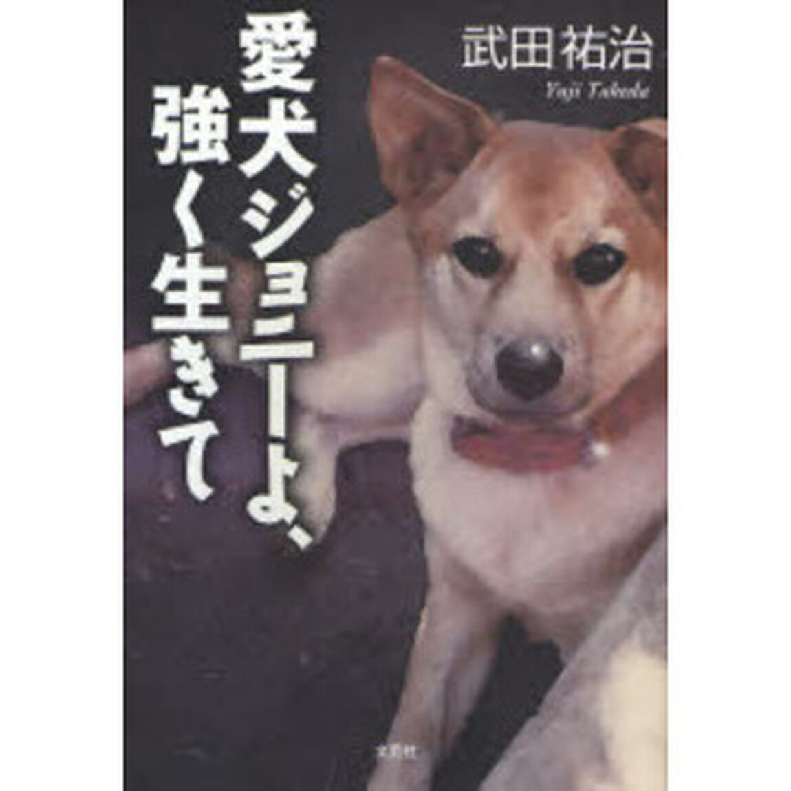 愛犬ジョニーよ、強く生きて