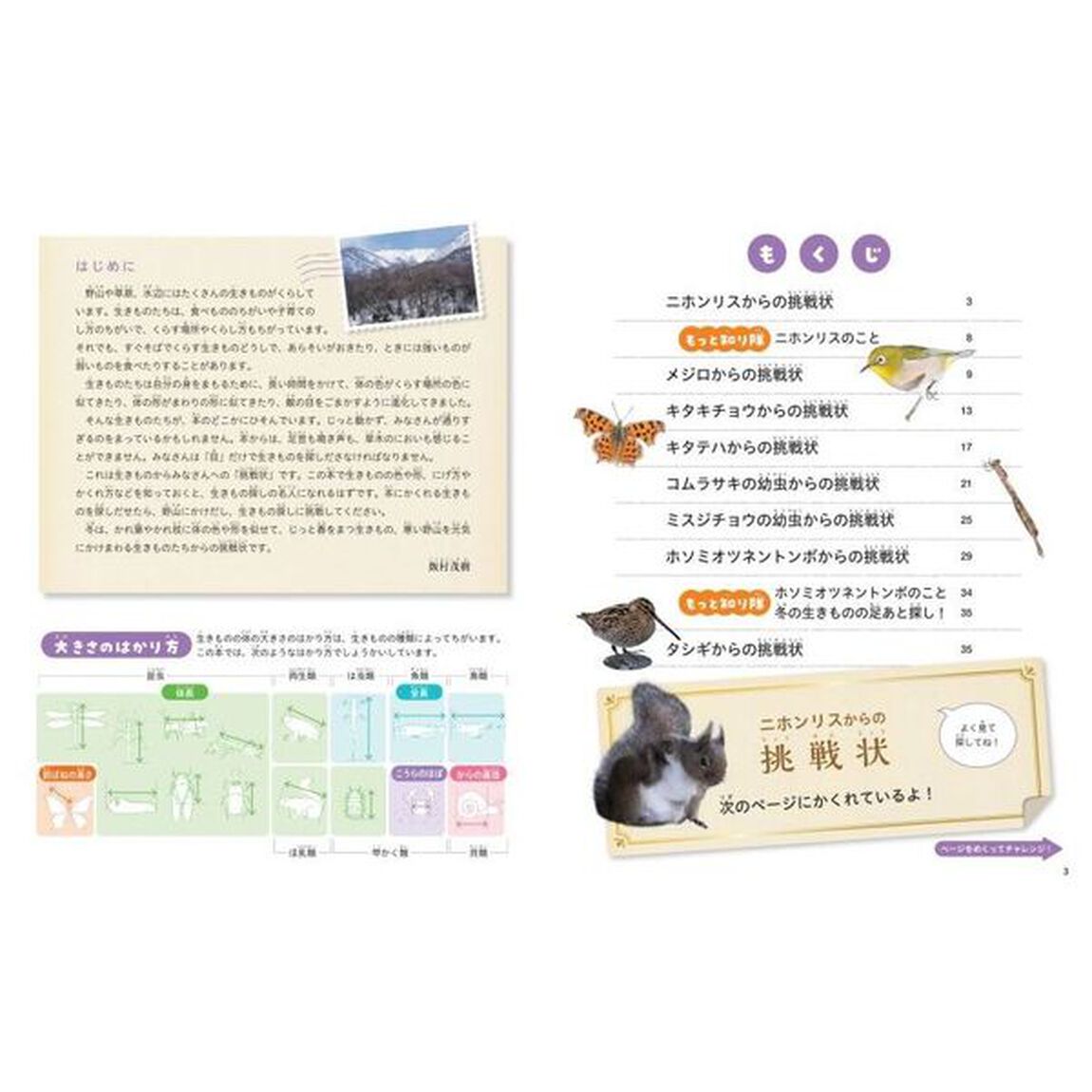 みーつけた！生きものからの挑戦状　〔４〕「冬の生きものをさがせ！」
