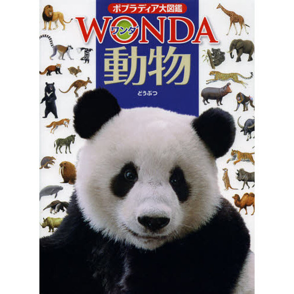 動物