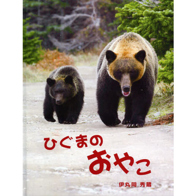 ひぐまのおやこ
