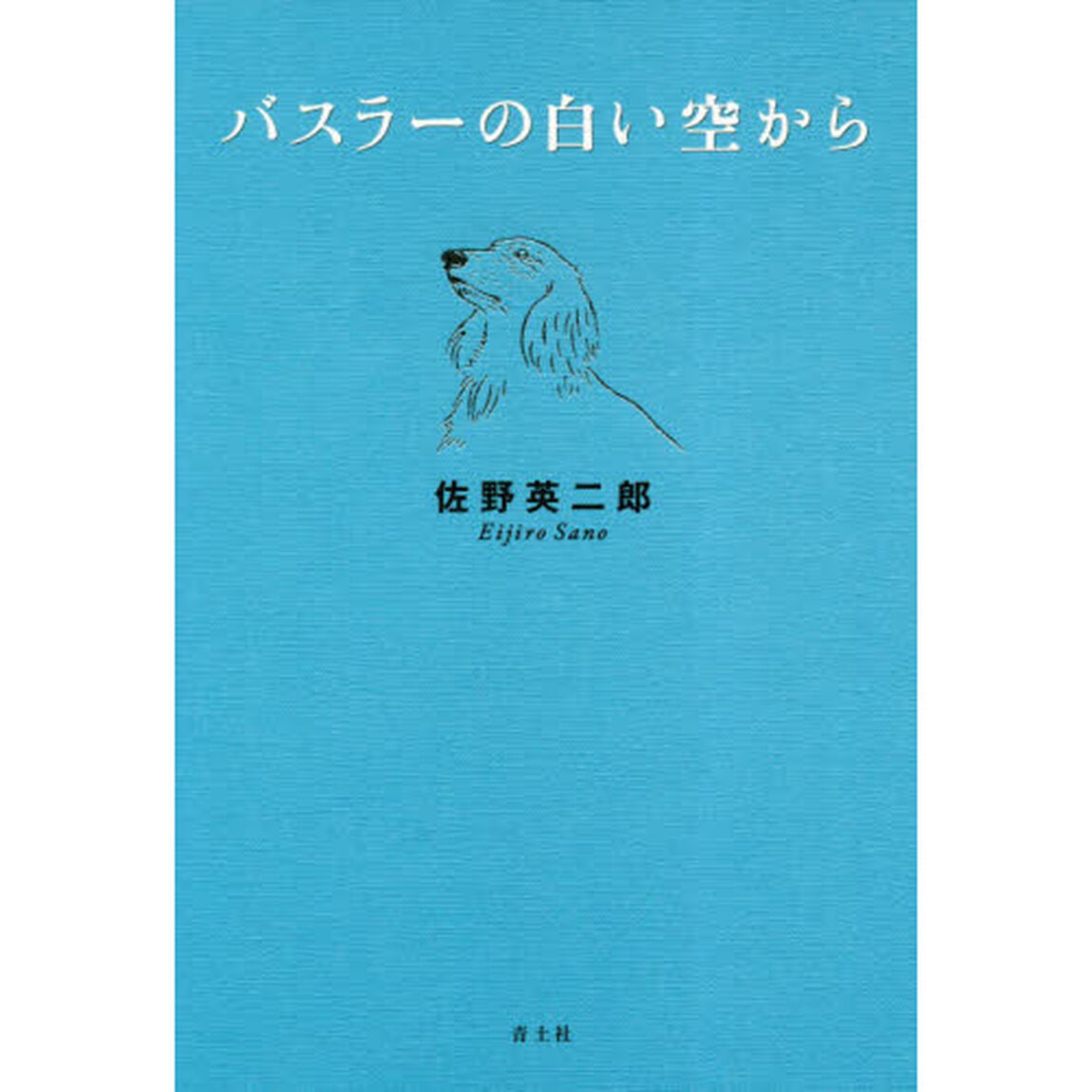 バスラーの白い空から　新装版