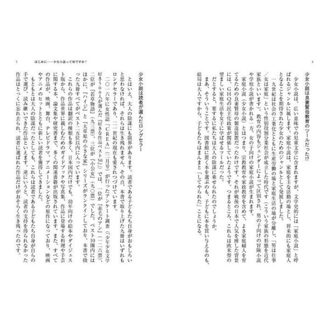 挑発する少女小説