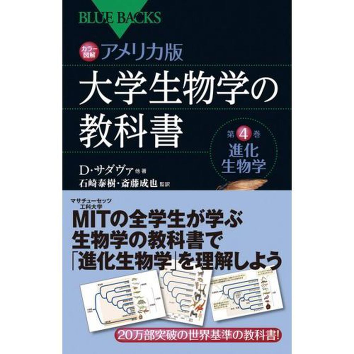 カラー図解アメリカ版大学生物学の教科書　第４巻「進化生物学」