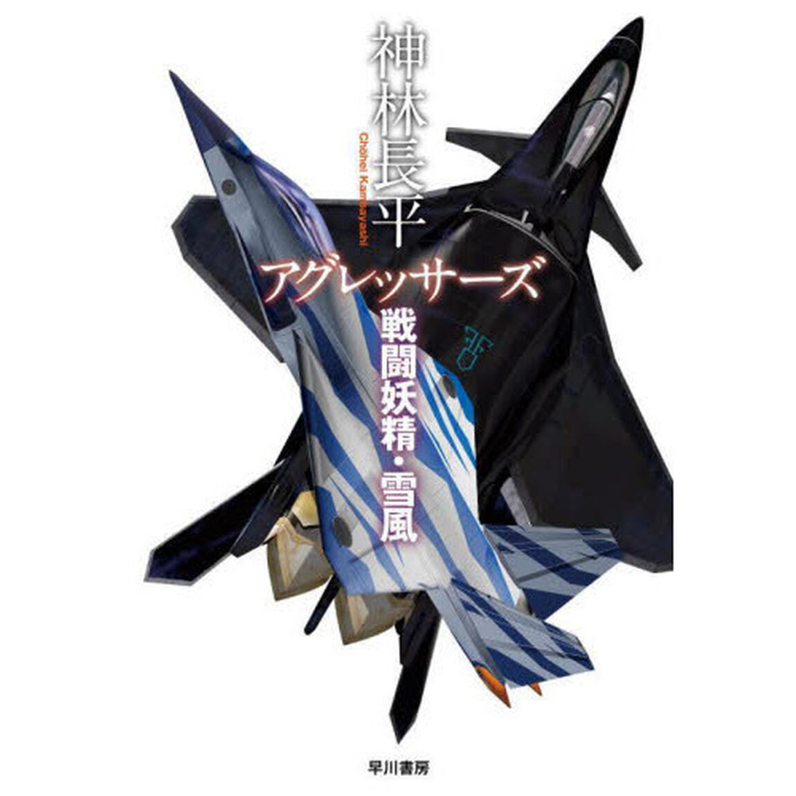 アグレッサーズ