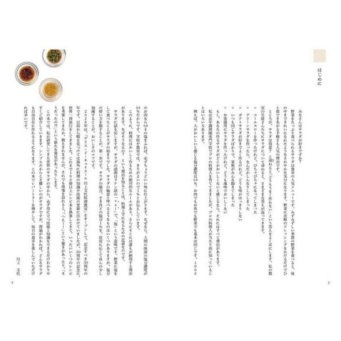 サラダの極意　基本の１０皿でわかる最高のサラダ