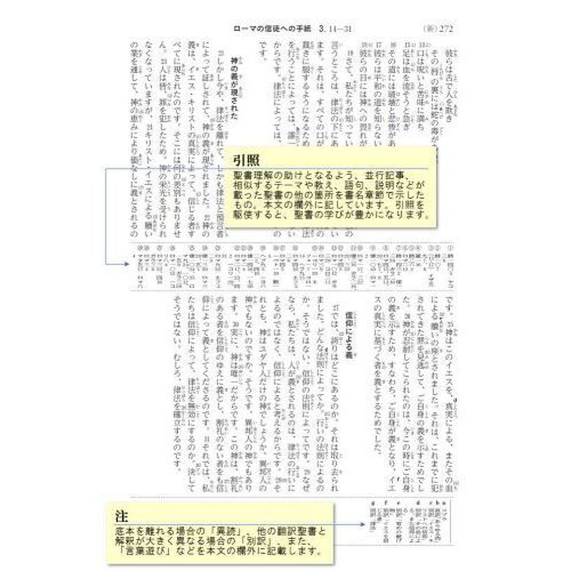 聖書　聖書協会共同訳　旧約聖書続編付き　引照・注付き