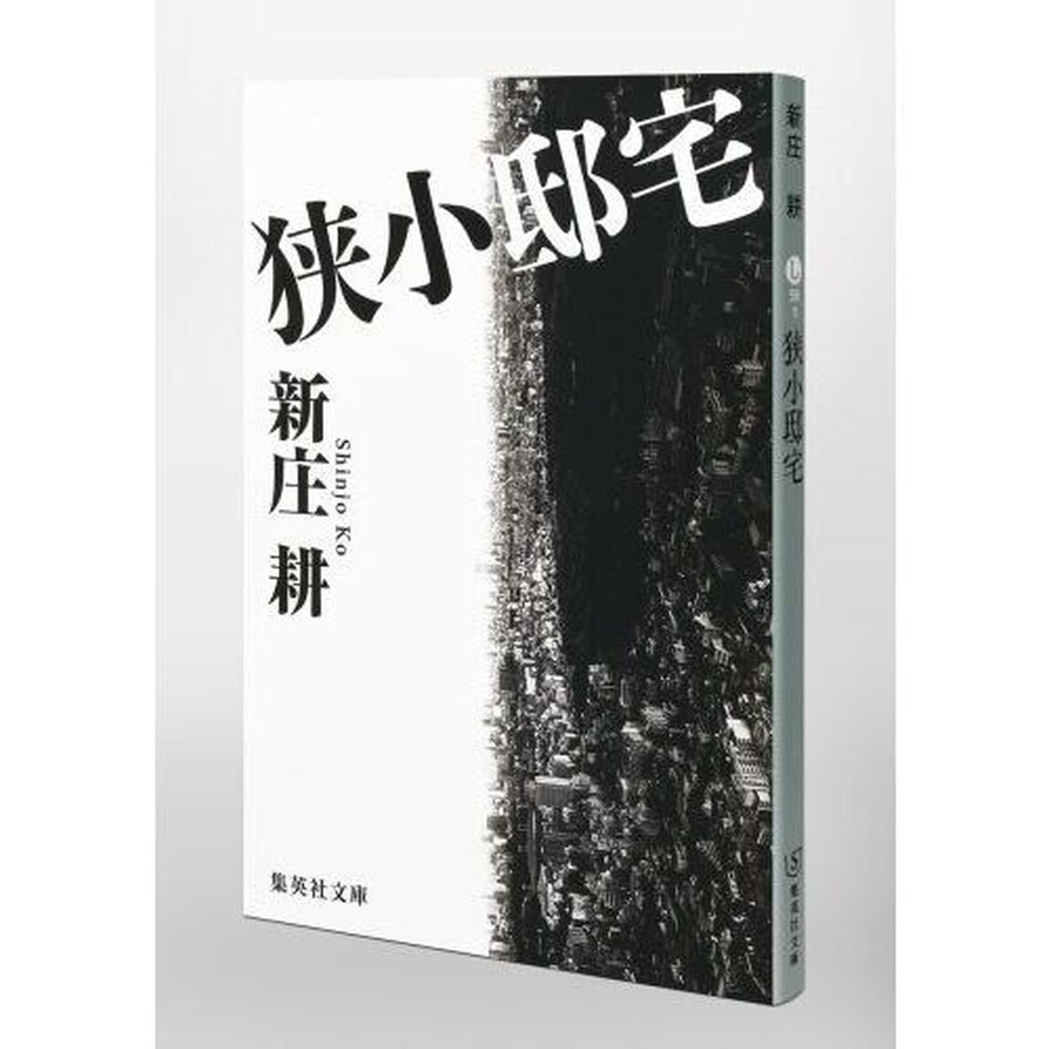 狭小邸宅