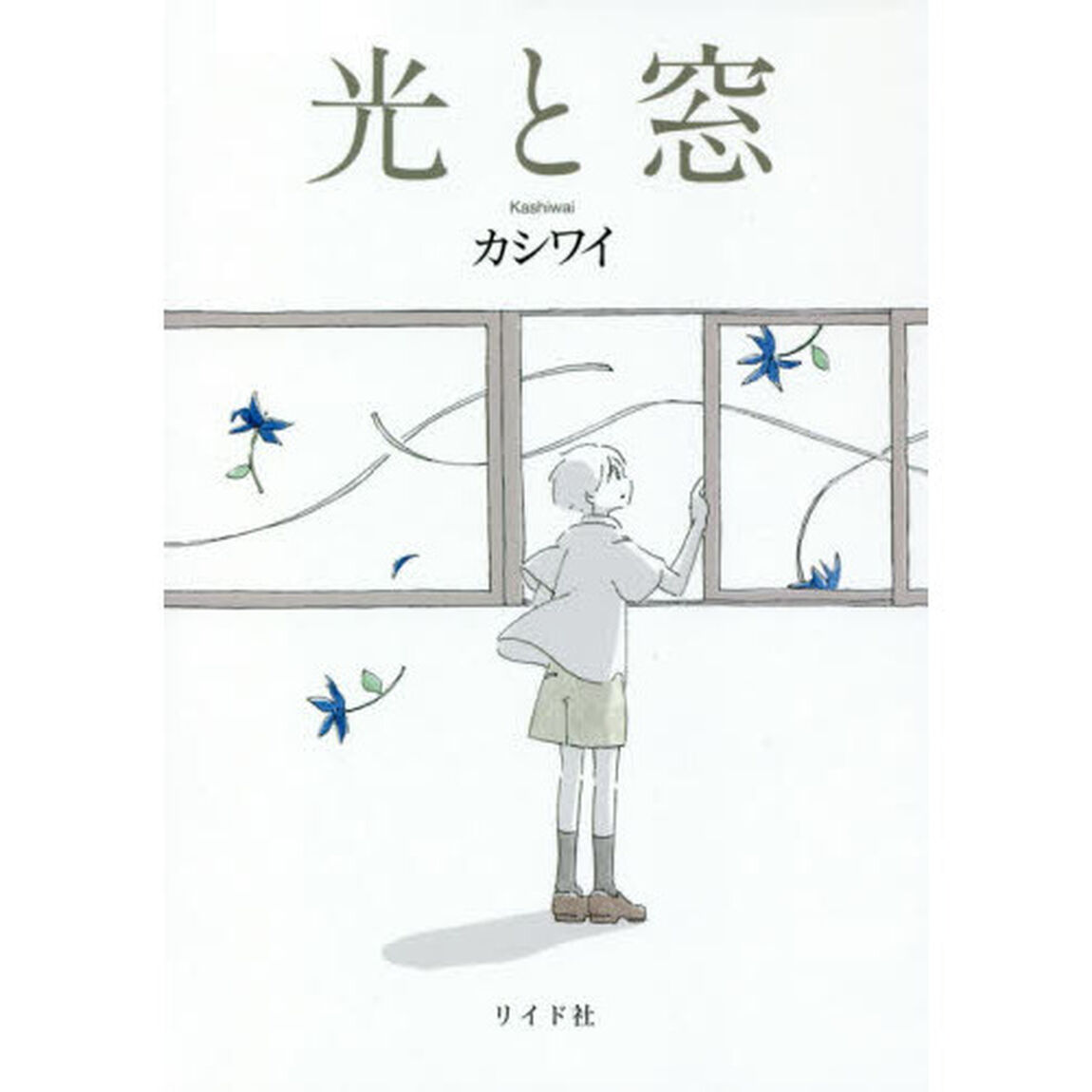光と窓