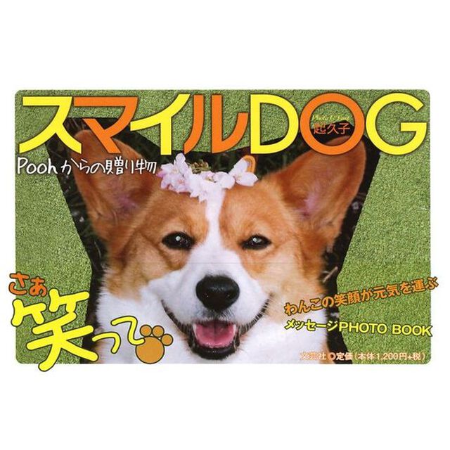 スマイルＤＯＧ　Ｐｏｏｈからの贈り物