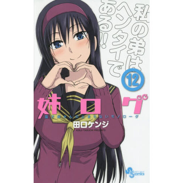 姉ログ　靄子姉さんの止まらないモノローグ　１２