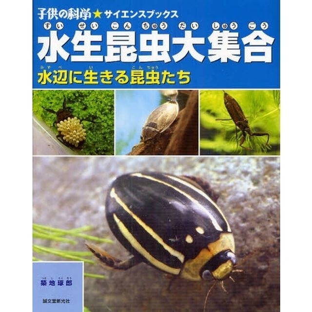 水生昆虫大集合　水辺に生きる昆虫たち