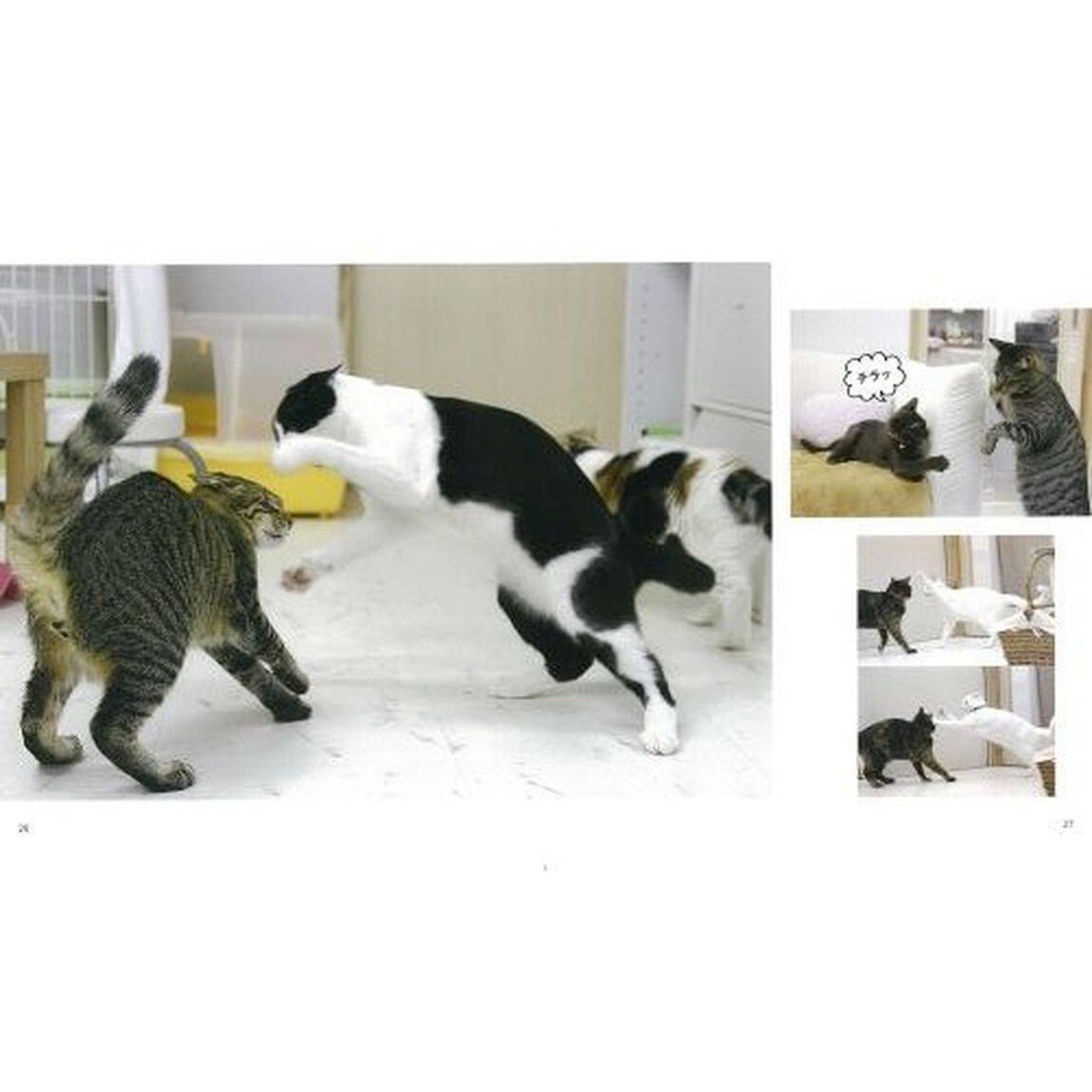 ねこパンチ！だもの。