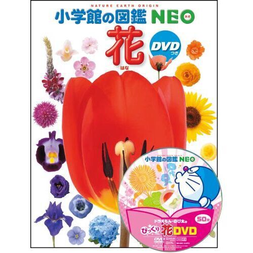 小学館の図鑑NEO 花 DVDつき - 通販｜セブンネットショッピング