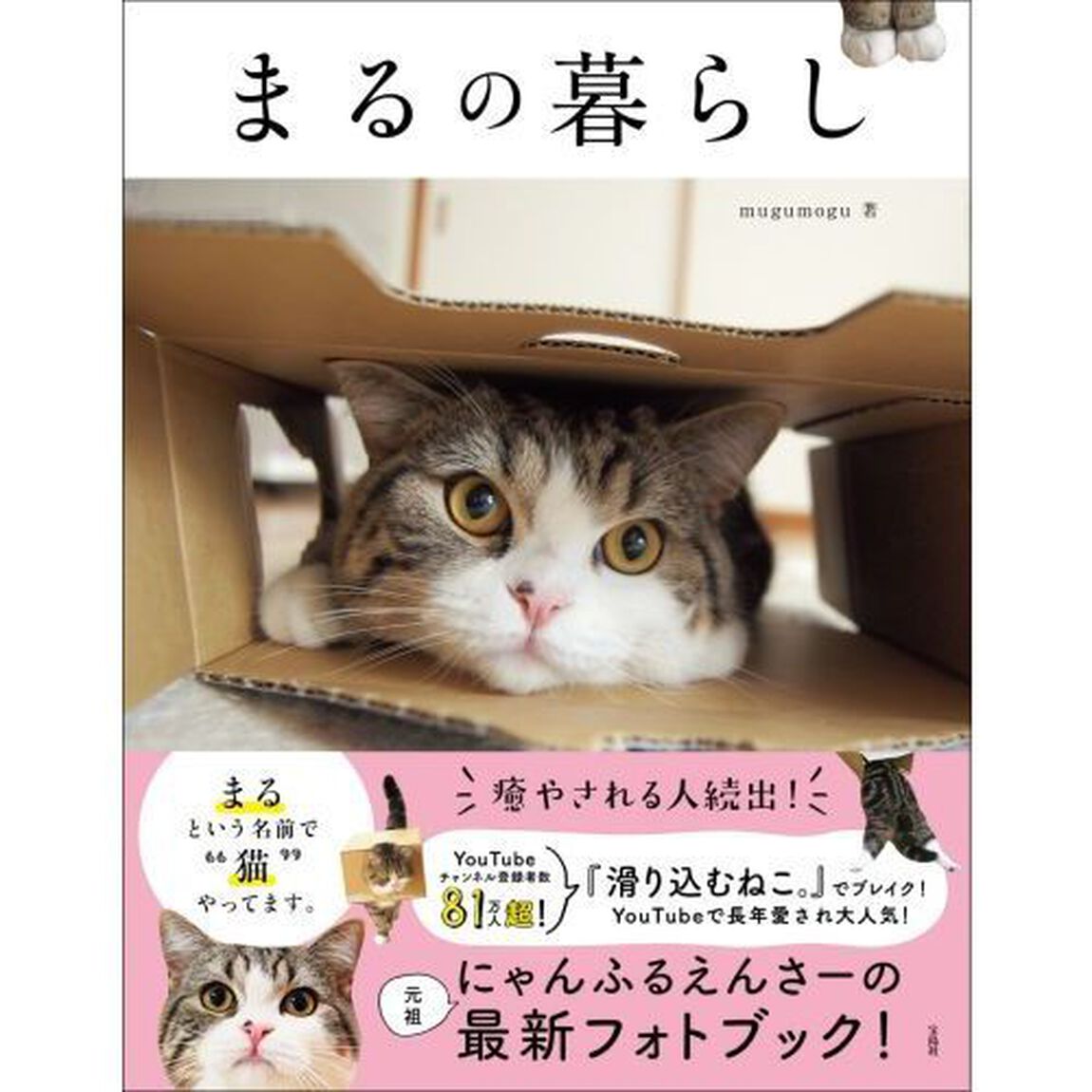 まるの暮らし