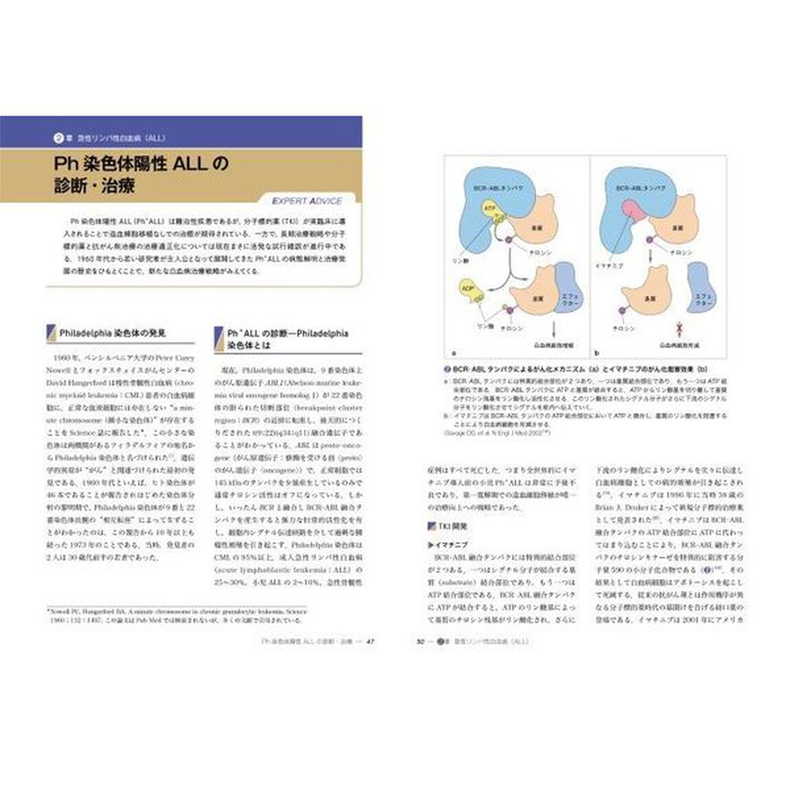 小児白血病・リンパ腫　Ｓｔｒａｔｅｇｙ　ａｎｄ　Ｐｒａｃｔｉｃｅ