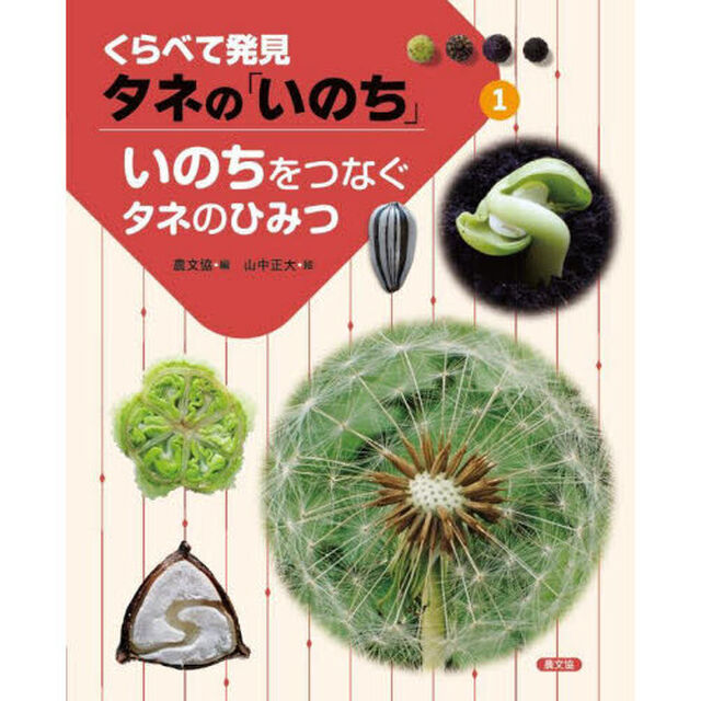 くらべて発見タネの「いのち」　１「いのちをつなぐタネのひみつ」