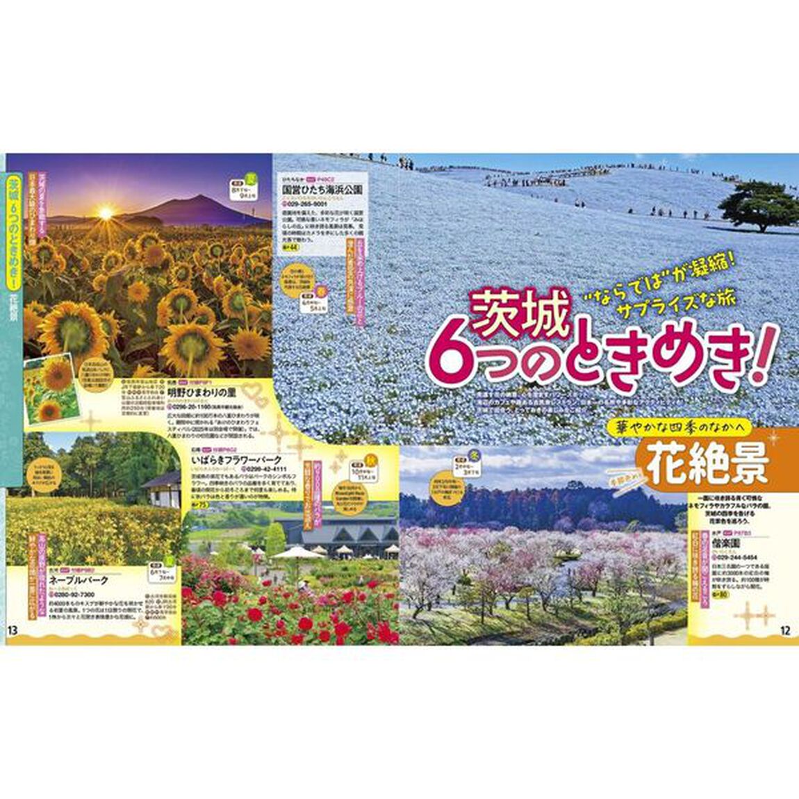 るるぶ茨城 大洗 つくば 水戸 笠間'26