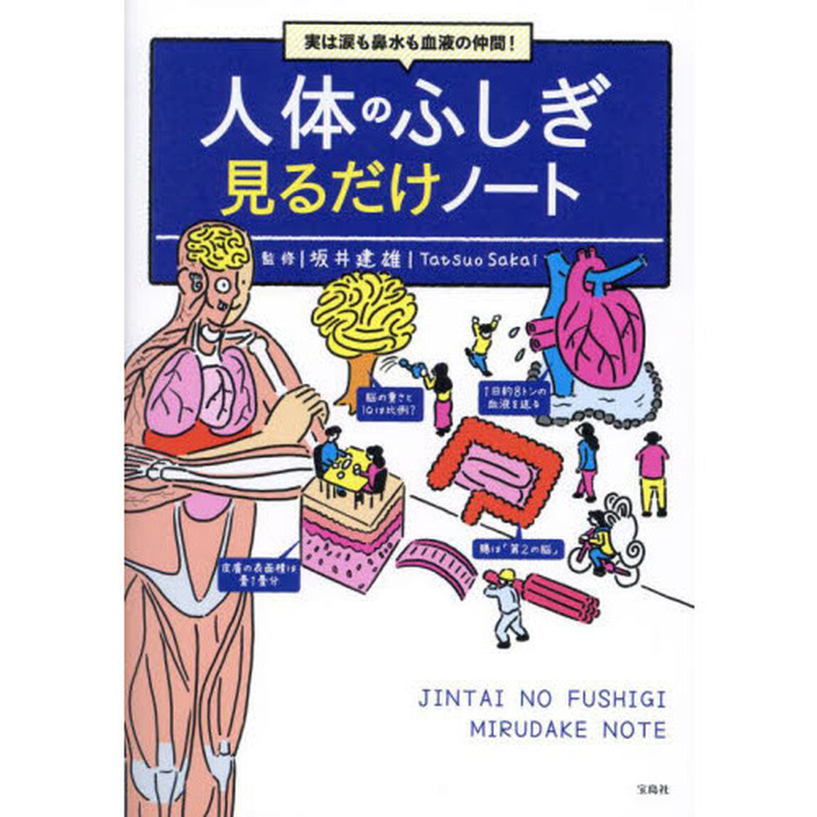 人体のふしぎ見るだけノート　実は涙も鼻水も血液の仲間！