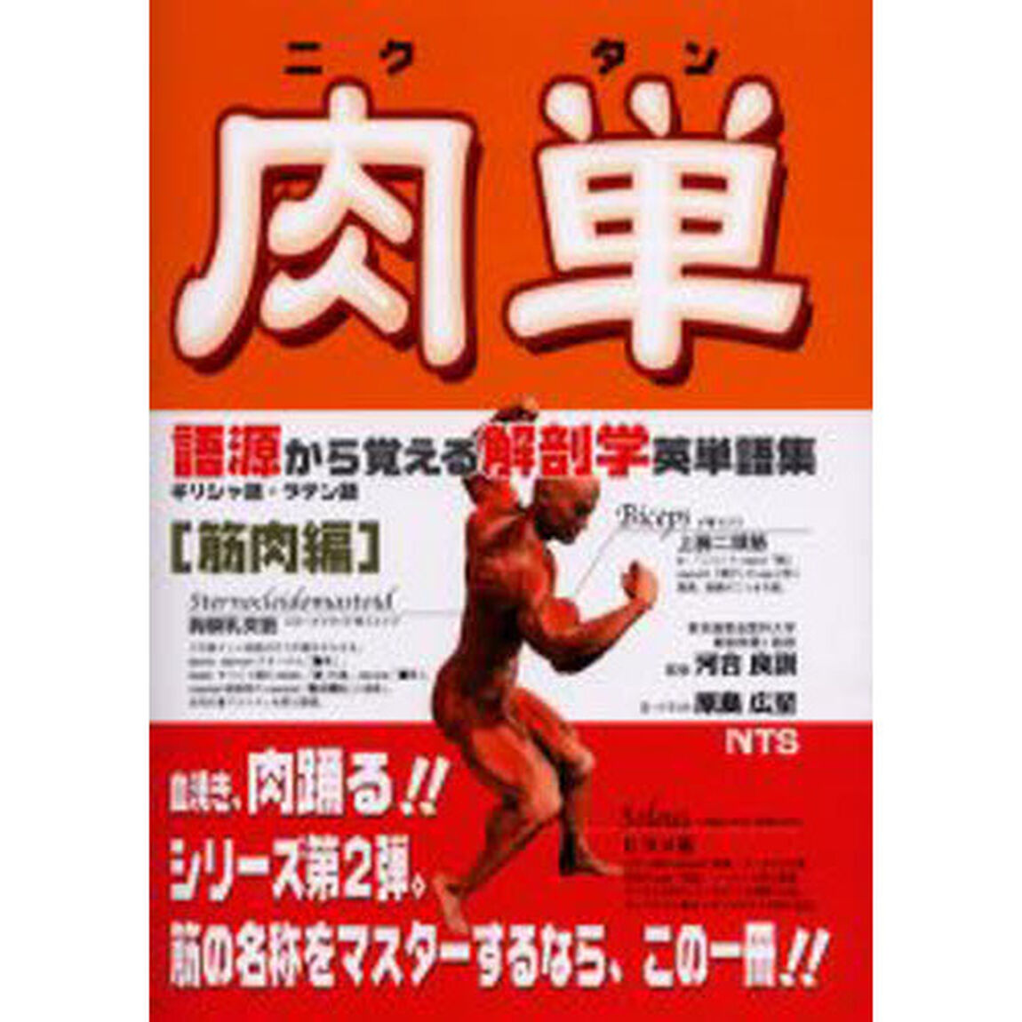 肉単