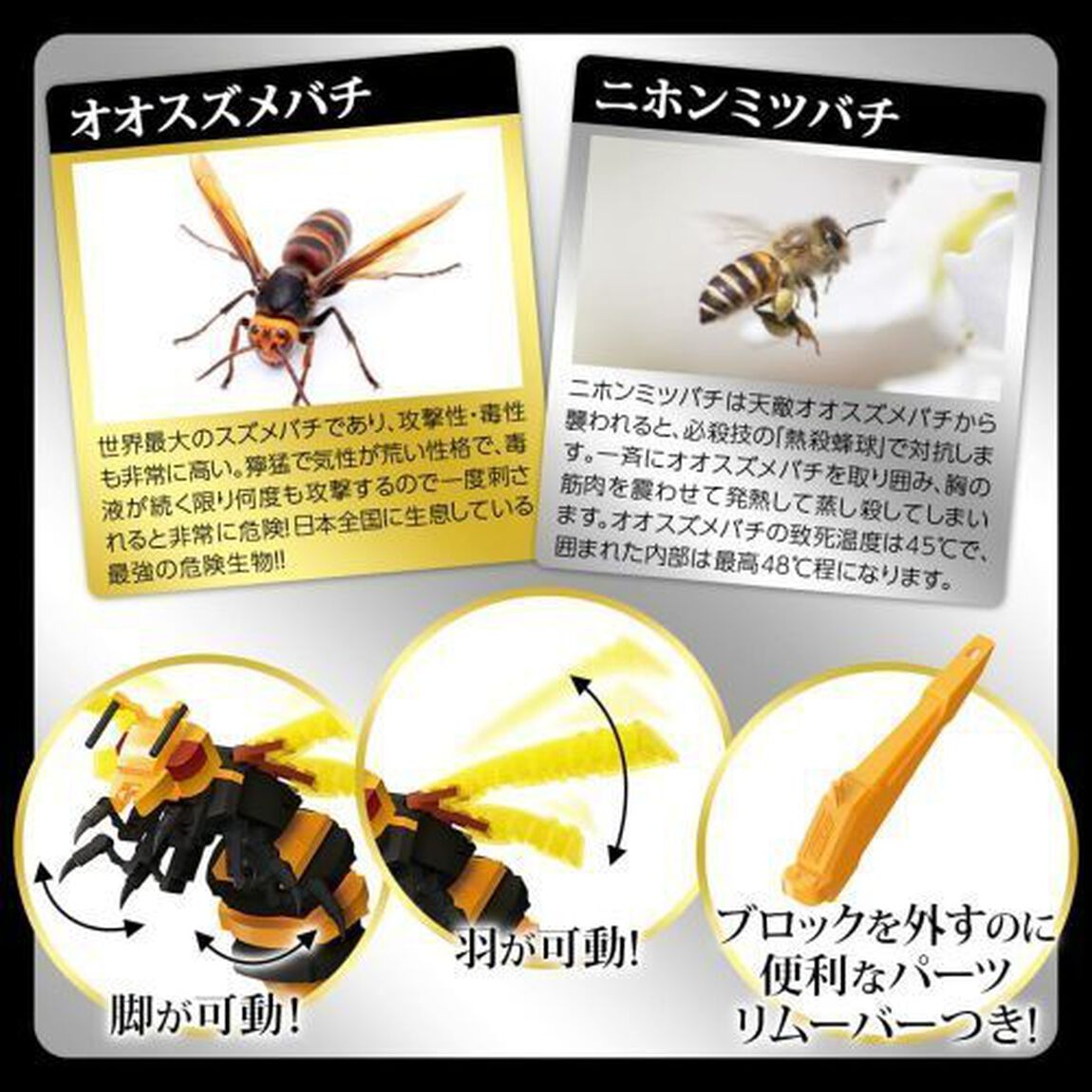 オオスズメバチ対決セット