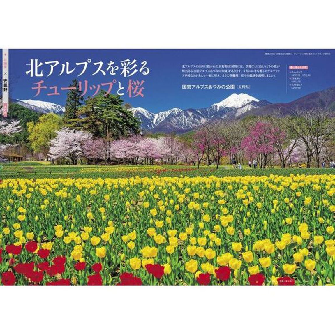 大人のひとり旅　ぶらり、テーマのある旅へ　２
