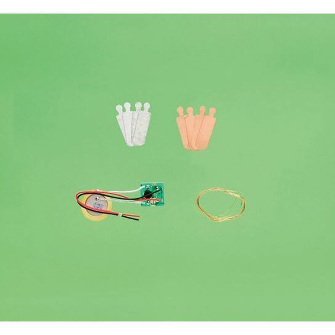 自由研究おたすけキット　レモン電池を作ろ
