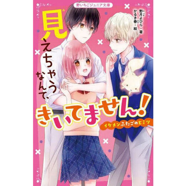 見えちゃうなんて、きいてません！　イケメンふたごのヒミツ