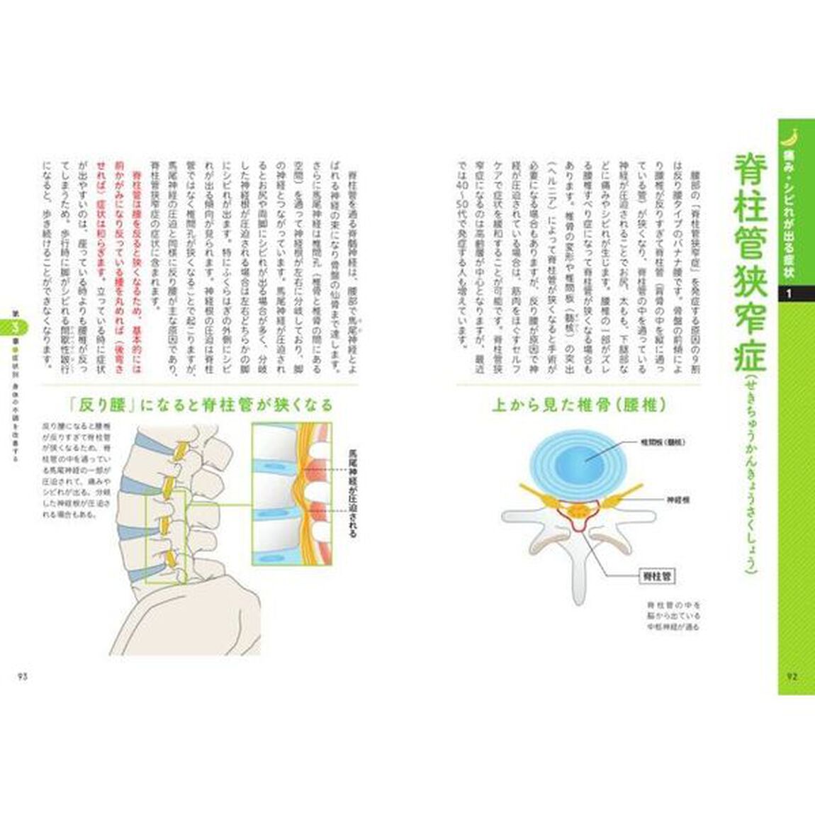 体が硬い人のための腰痛リセット術　寝る前１分！自分の体に合わせて選べるセルフケア