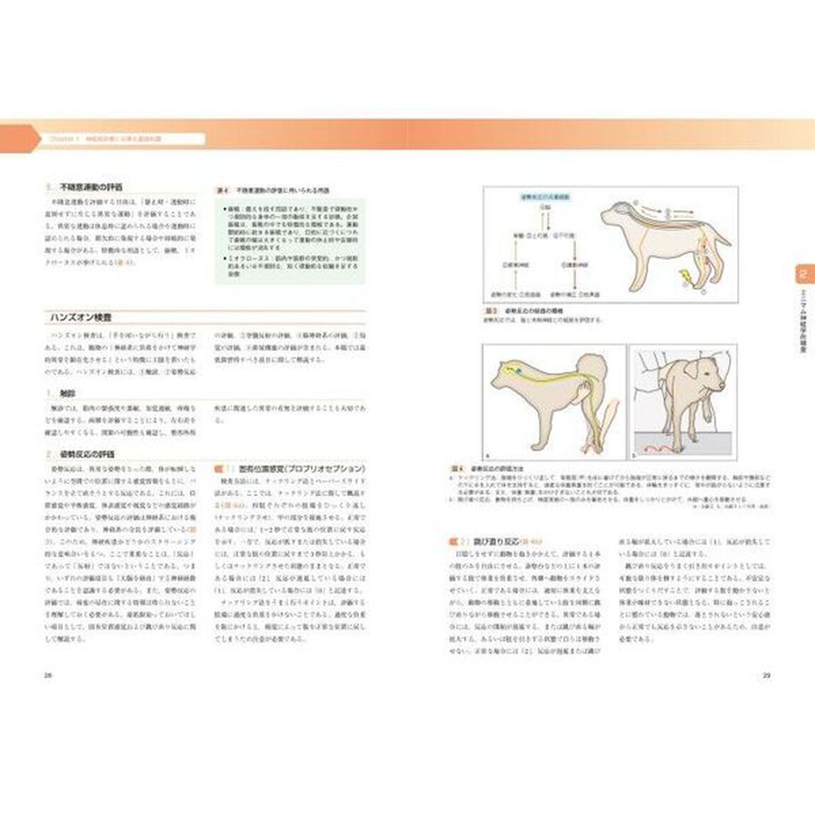 エッセンシャル犬と猫の神経病診療