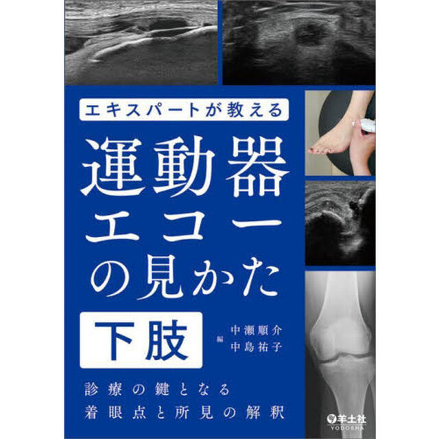 エキスパートが教える運動器エコーの見かた　診療の鍵となる着眼点と所見の解釈　下肢