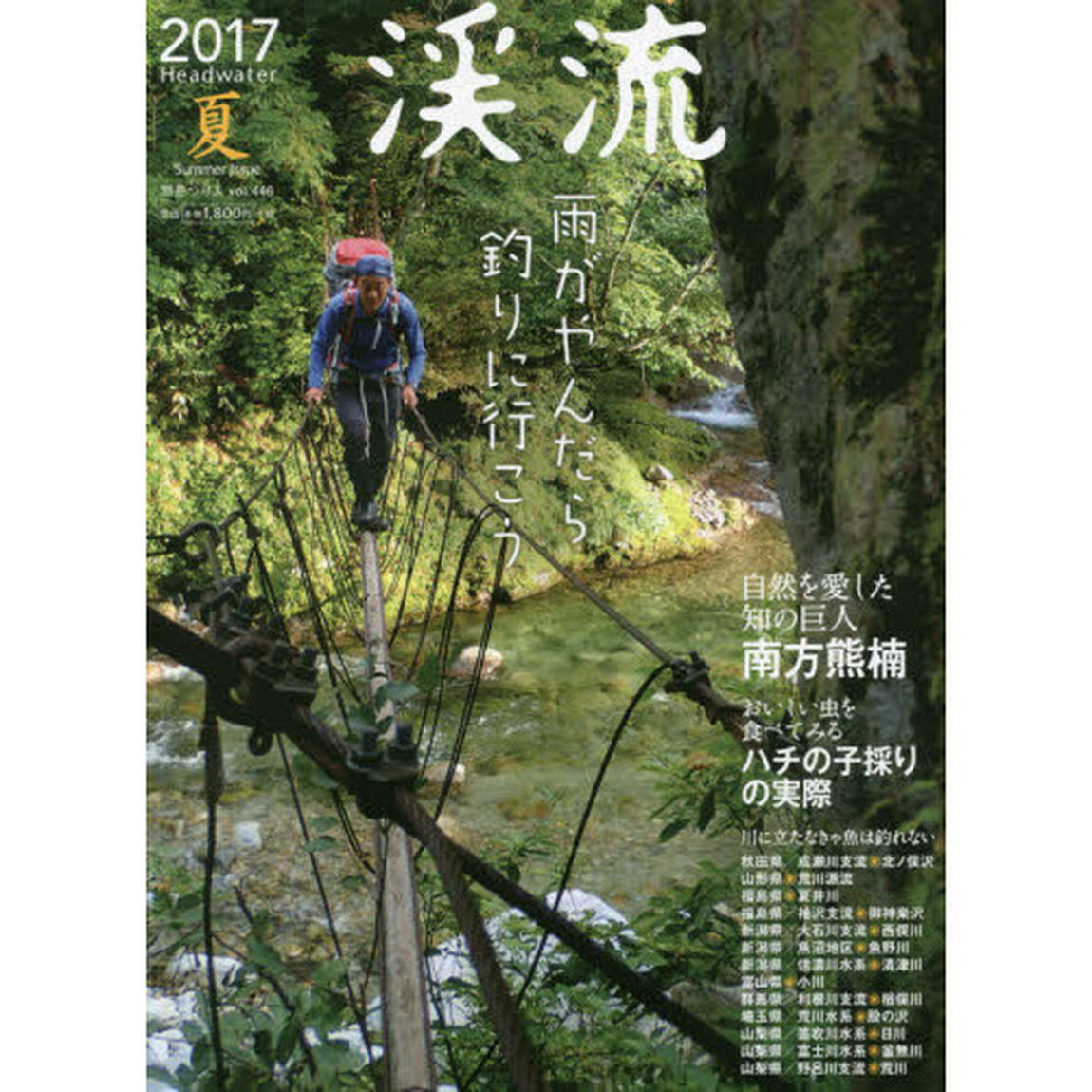 渓流　２０１７夏「雨がやんだら釣りに行こう　ハチの子採りの実際」