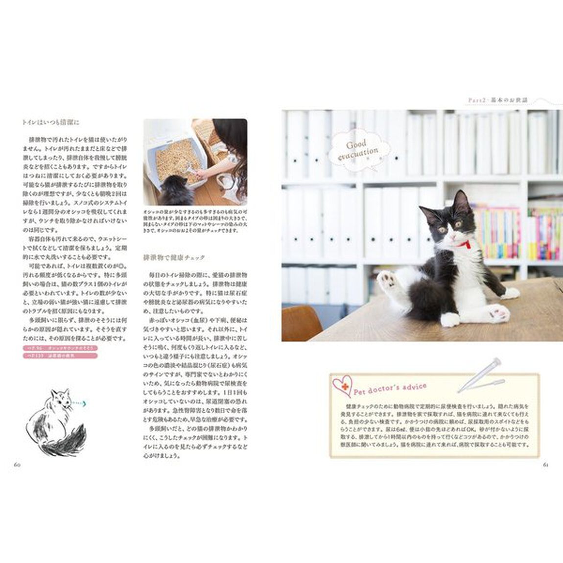 猫を飼う前に読む本　猫専門医が教える
