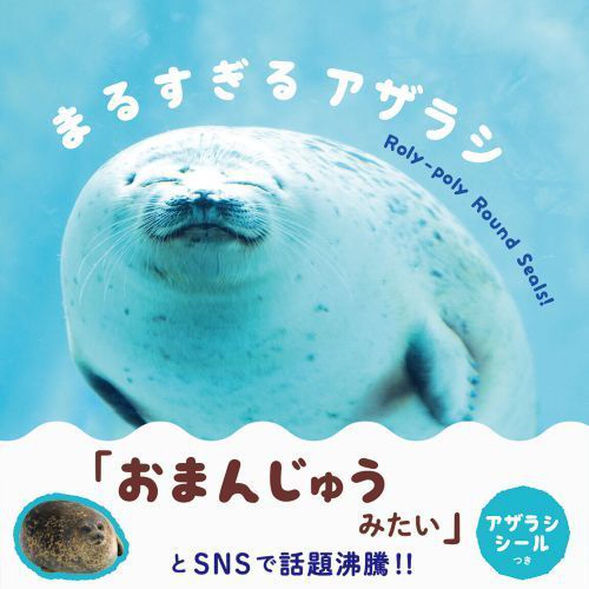 まるすぎるアザラシ
