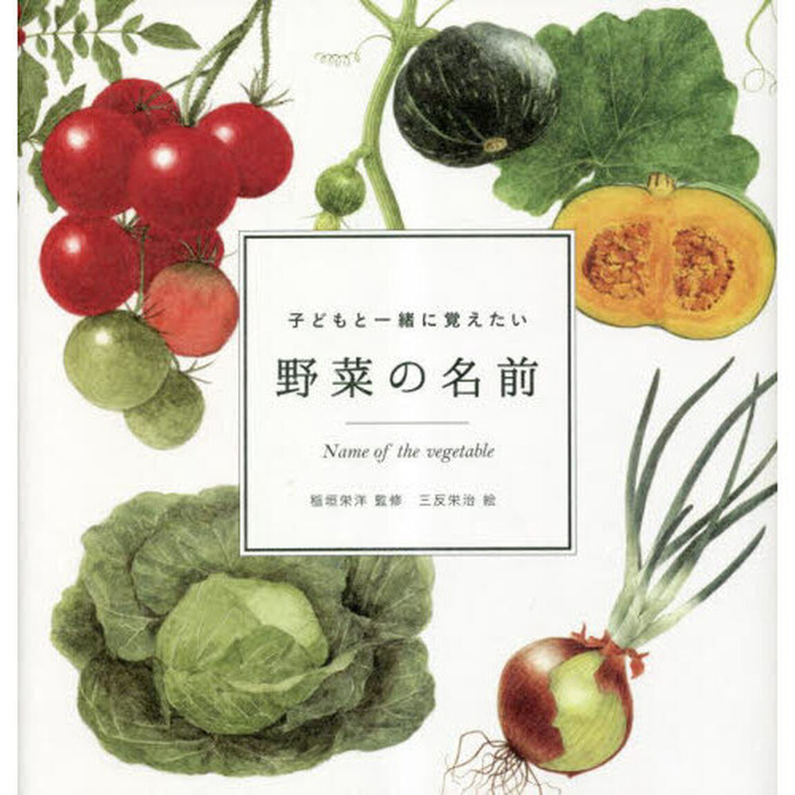 子どもと一緒に覚えたい野菜の名前