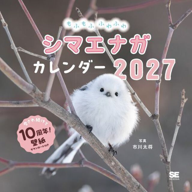 もふもふふわふわシマエナガ カレンダー 2027