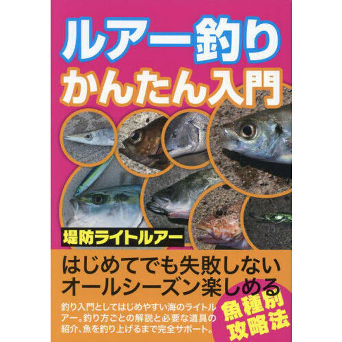 ルアー釣りかんたん入門　釣り入門としてはじめやすい海のライトルアー