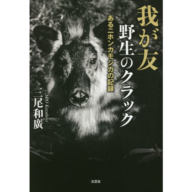 我が友野生のクラック　あるニホンカモシカの記録