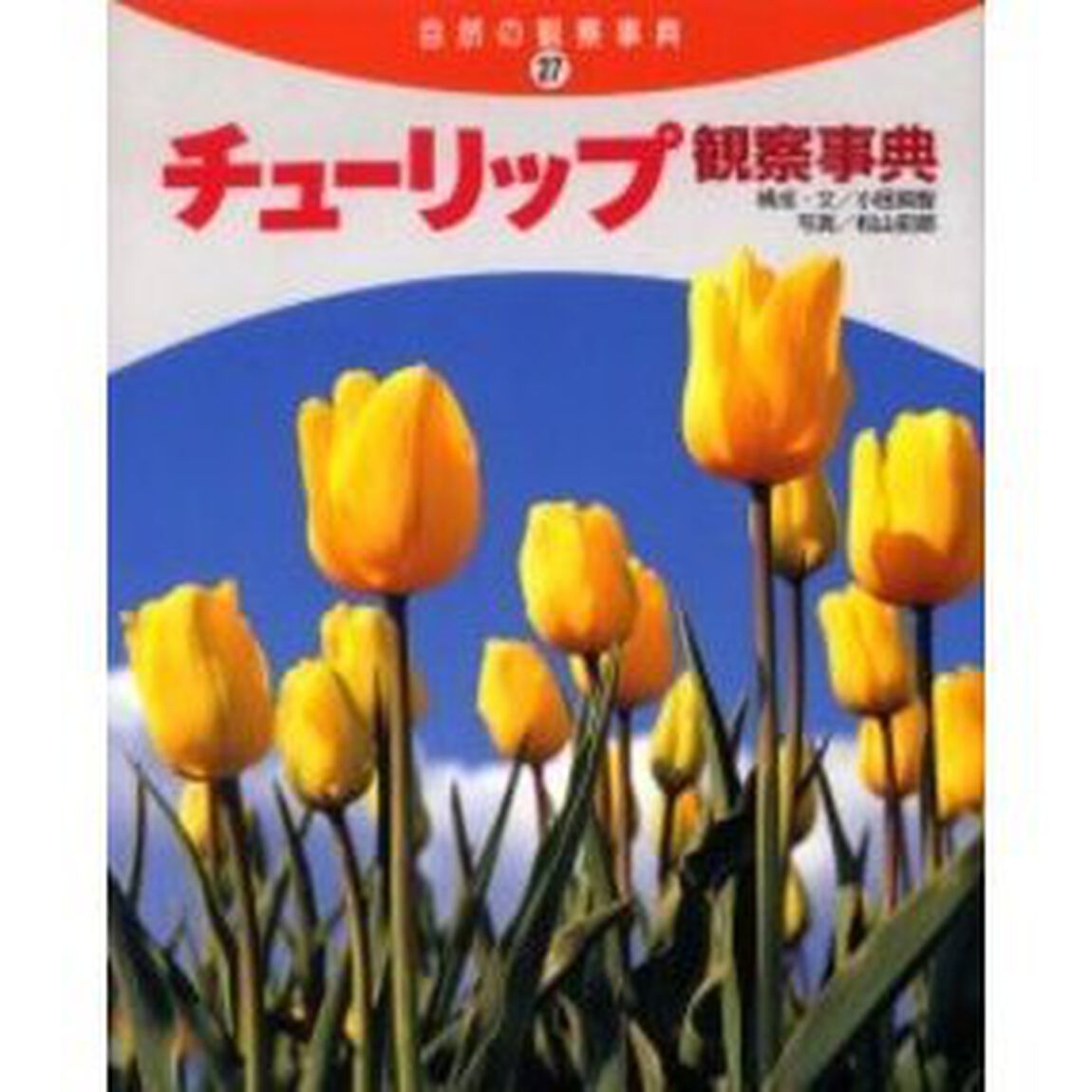 チューリップ観察事典