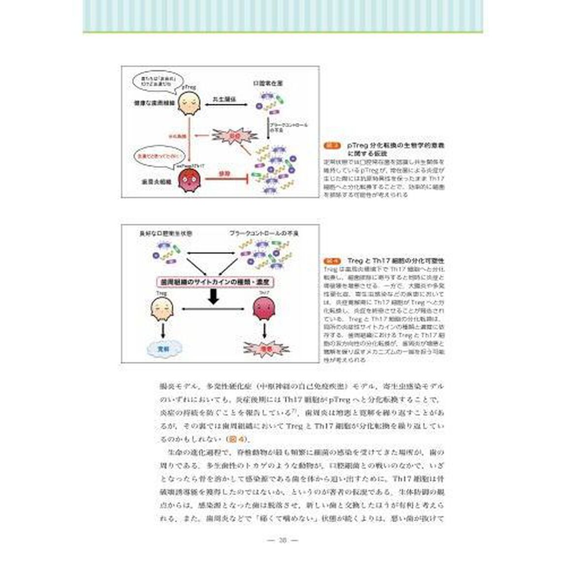 歯学生・歯科医療従事者のための骨免疫学