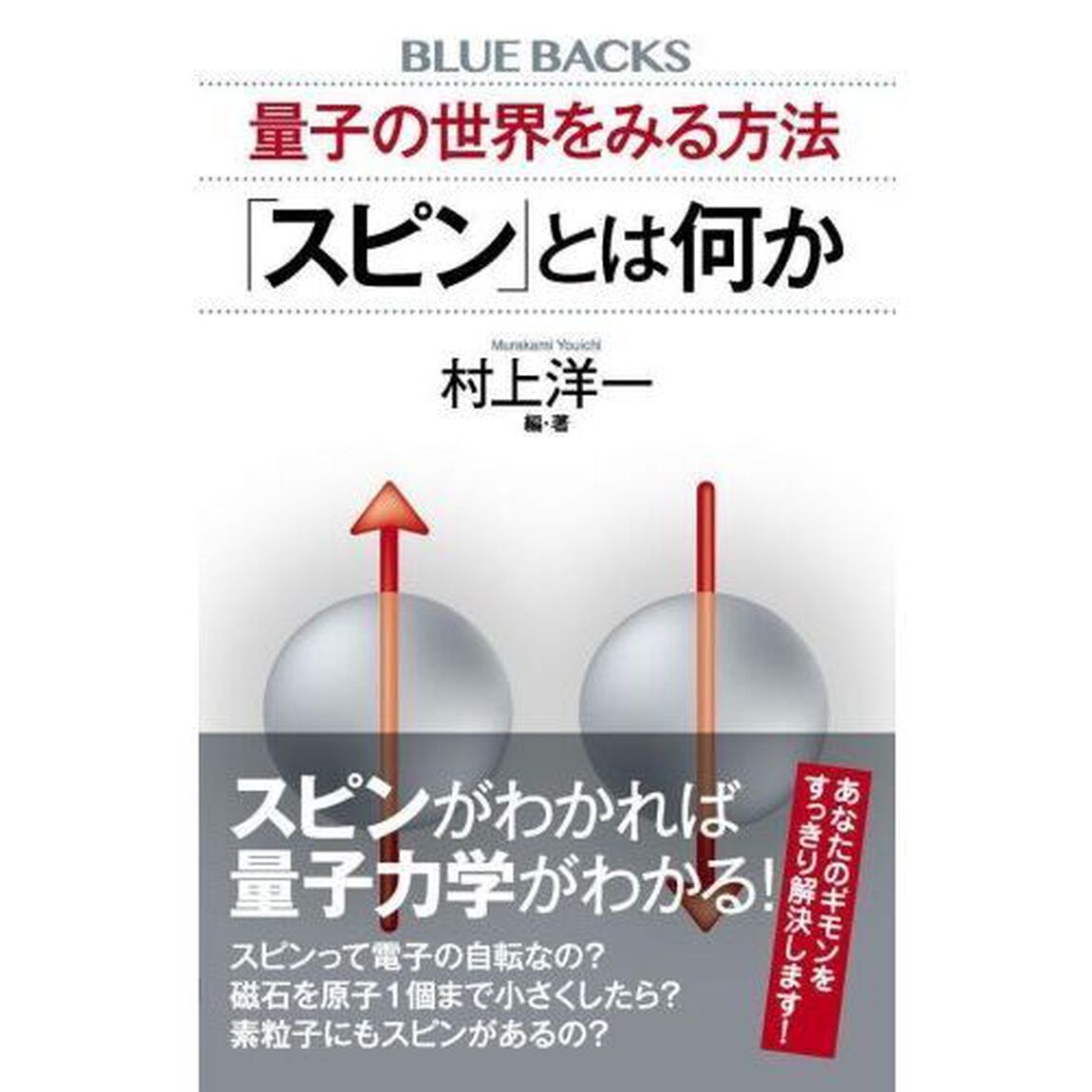 「スピン」とは何か　量子の世界をみる方法